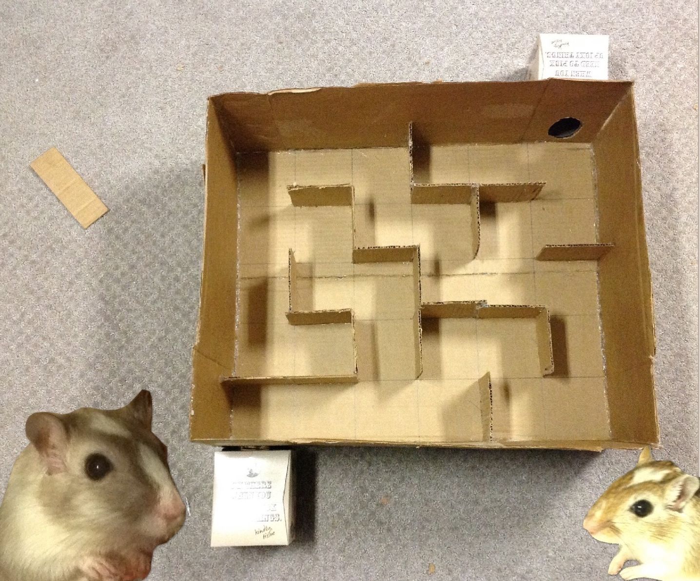 Cardboard Puzzle Mazes