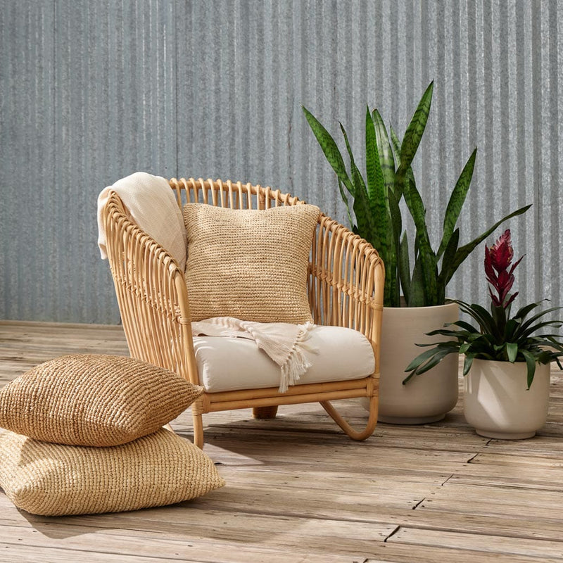 Cane Armchair